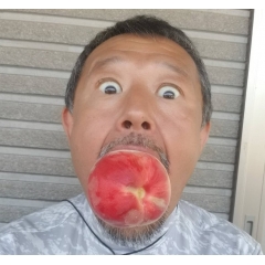 もも狩り 受付中！